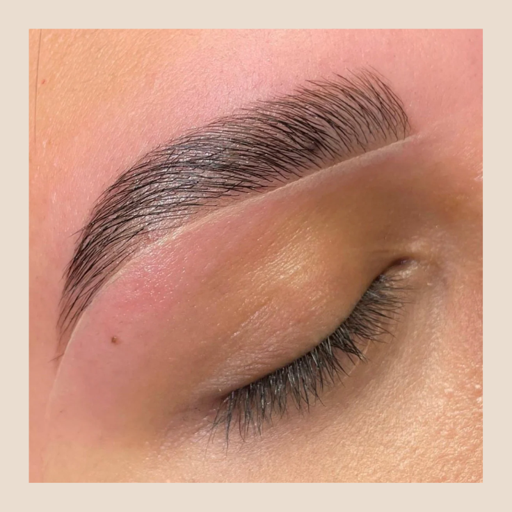 Brow Wax + Shape + Tint